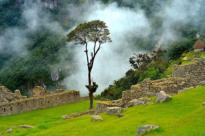 07 Day: Inca Jungle Adventure with Mountain Bike, Rafting, Zipline & Trek - Day 4: Trek Through the Inca Trail Segment Toward Santa Teresa