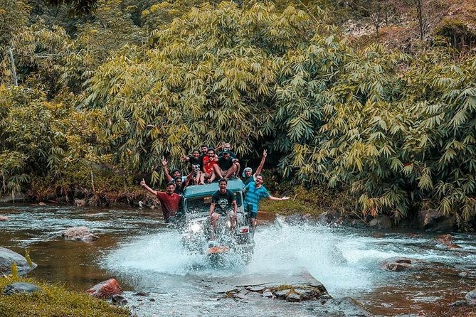 1 Day Activity Adventure Trekking Kerala - Pickup and the Cottage Start: Tea, Breakfast, Then Head Out