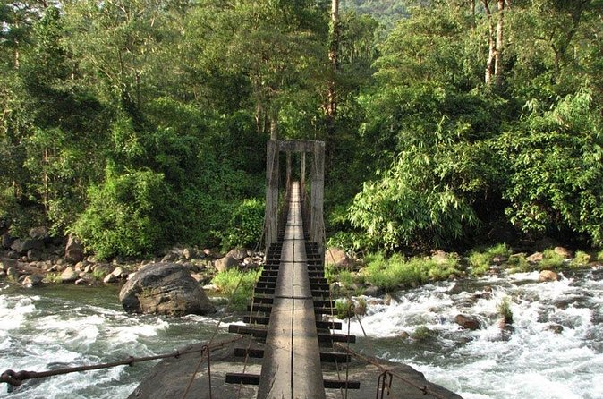 1 Day Activity Adventure Trekking Kerala - Perumbankuth and 6th Mile Sightseeing: Second Wind After Lunch