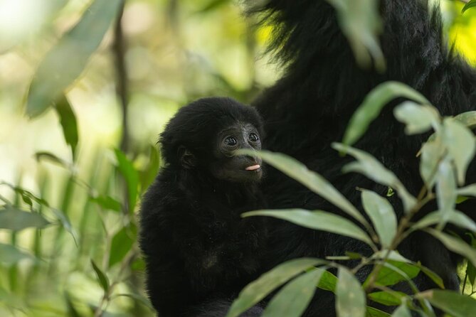 1 Day Ethical Jungle Trek in Bukit Lawang at Sumatra - Traditional rafting (and getting wet): a fun break, not a dry one