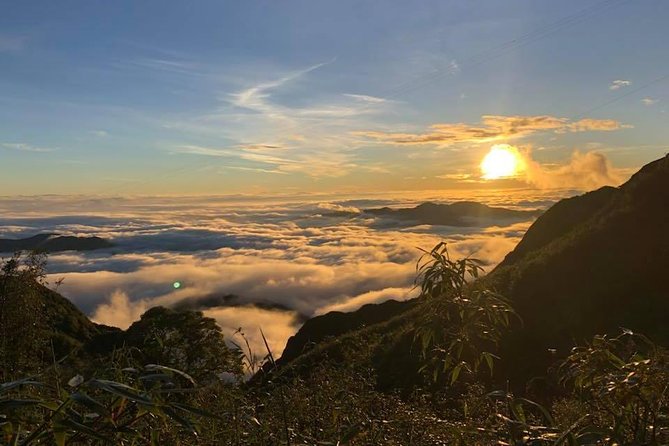1 day Fansipan Trekking - Coming down: same trail, or take the cable car back for a fee