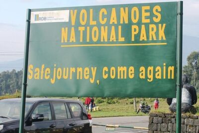 1 Day Gorilla Trekking Rwanda - Volcanoes National Park briefing: why the first hour matters
