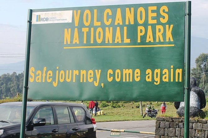 1 Day Gorilla Trekking Rwanda - Volcanoes National Park briefing: why the first hour matters
