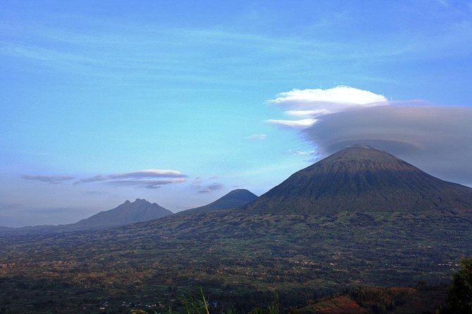 1 Day Gorilla trekking volcanoes national park - Who this private gorilla trek suits best