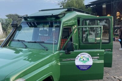 1 Day Guided Gorilla Trekking Safari Experience in Rwanda - Kigali pickup at 4:30 AM: why the start time matters more than you think