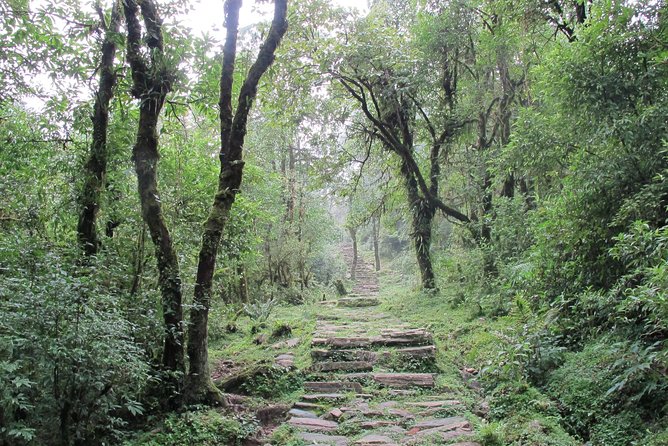 1-Day Private Dhampus Trekking Tour - When to go and how to dress for this kind of trail