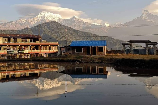 1-Day Private Dhampus Trekking Tour - The route you’ll walk: Phedi to Dhampus, lunch at the camp area, then down to Kande