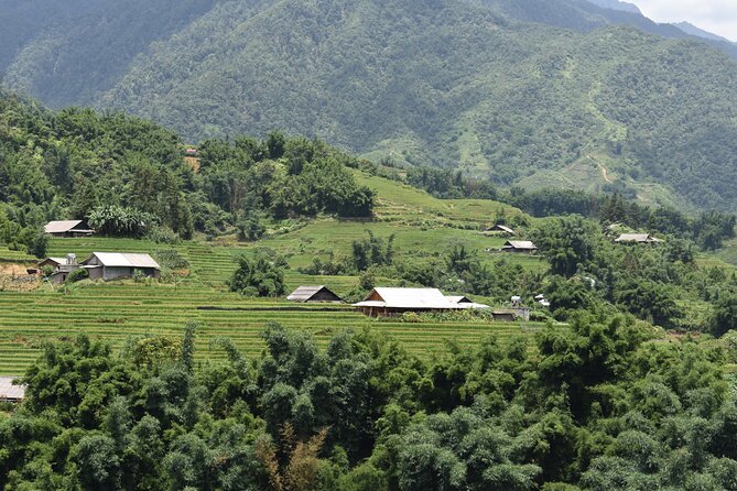 1-Day Private Trekking in Sapa through Terraces Rice Fields - The big scenery draw: Hoàng Liên Sơn range and Muong Hoa valley views