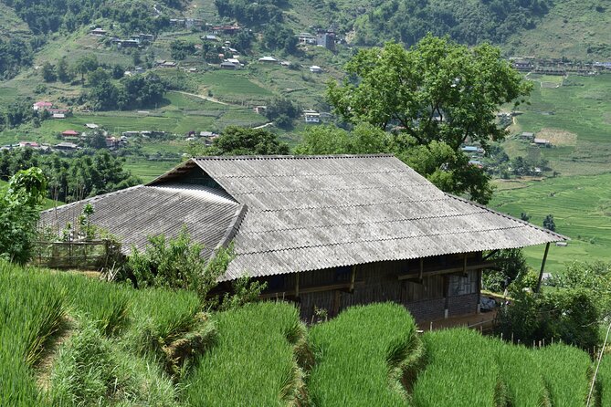 1-Day Private Trekking in Sapa through Terraces Rice Fields - Off-main-road trekking: how the path choice shapes the whole experience