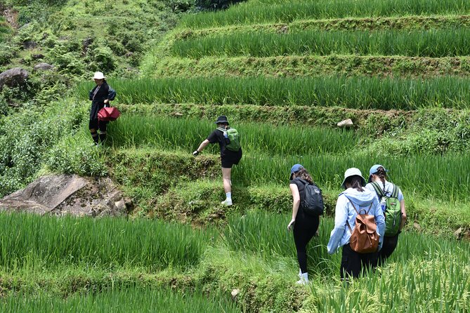 1-Day Private Trekking in Sapa through Terraces Rice Fields - Food and water: lunch included, plus vegetarian on request