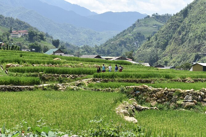 1-Day Private Trekking in Sapa through Terraces Rice Fields - Price and value: why $49 feels fair for a private countryside day