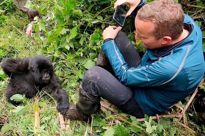 1 Day Rwanda Gorilla Trekking Tour In The Volcanoes National Park - Price and the Real Value of Getting There Right