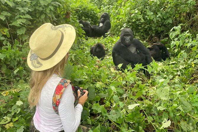 1 Day Rwanda Gorilla Trekking Tour In The Volcanoes National Park - Food, Timing, and the Long Day Reality
