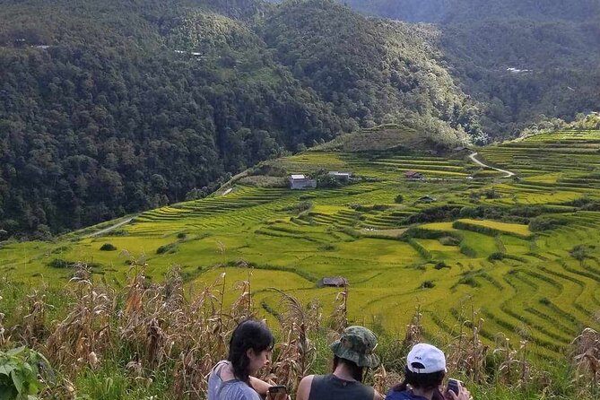 1 Day Sapa Authentic Trekking ( off beaten track ) - The corn fields and black limestone walk at the end