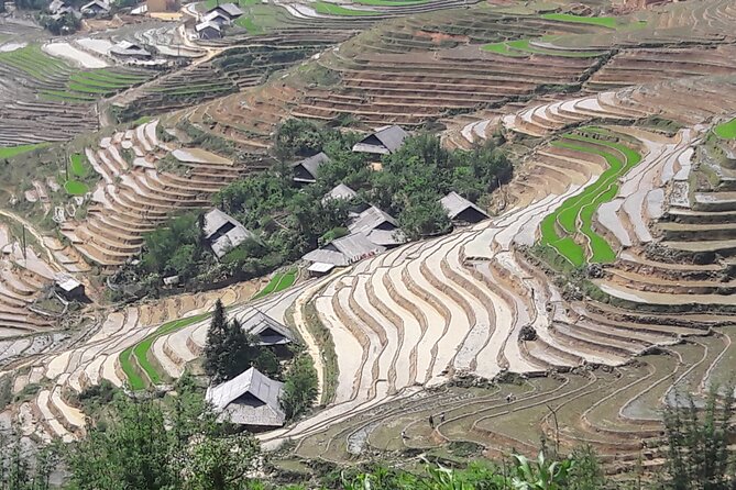 1 Day Sapa Authentic Trekking ( off beaten track ) - Guides really make the difference (and you’ll feel it)