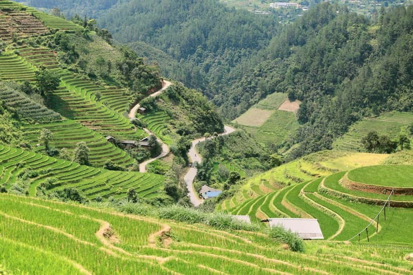 1-Day Sapa Long Trek - Rice Field Terrace, Ethnic Culture - A craft stop in the afternoon: handwoven clothing and natural dyes