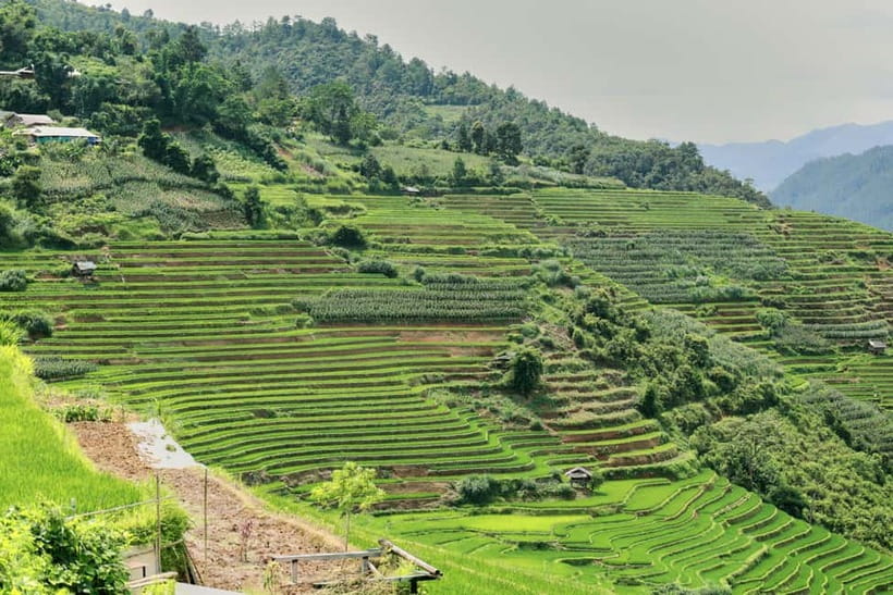 1-Day Sapa Long Trek - Rice Field Terrace, Ethnic Culture - Terrain, rain, and what to pack so the hike stays fun