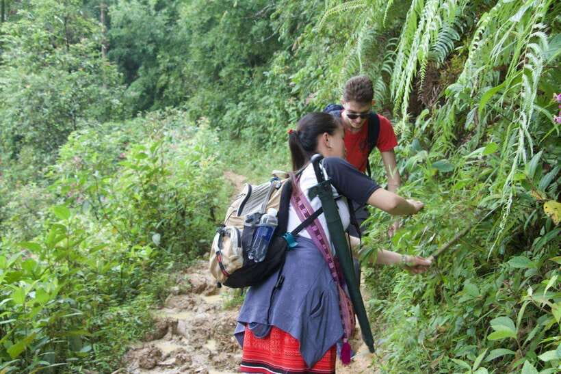 1 Day Sapa Trek&Home-cooked Lunch HmongSisterHouse&Trekking - Starting from Sapa Town: how the morning sets your bearings