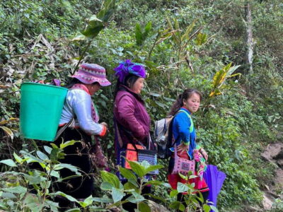 1 Day Sapa Trek&Home-cooked Lunch HmongSisterHouse&Trekking - Price and logistics: what $19 really covers (and what it doesn’t)
