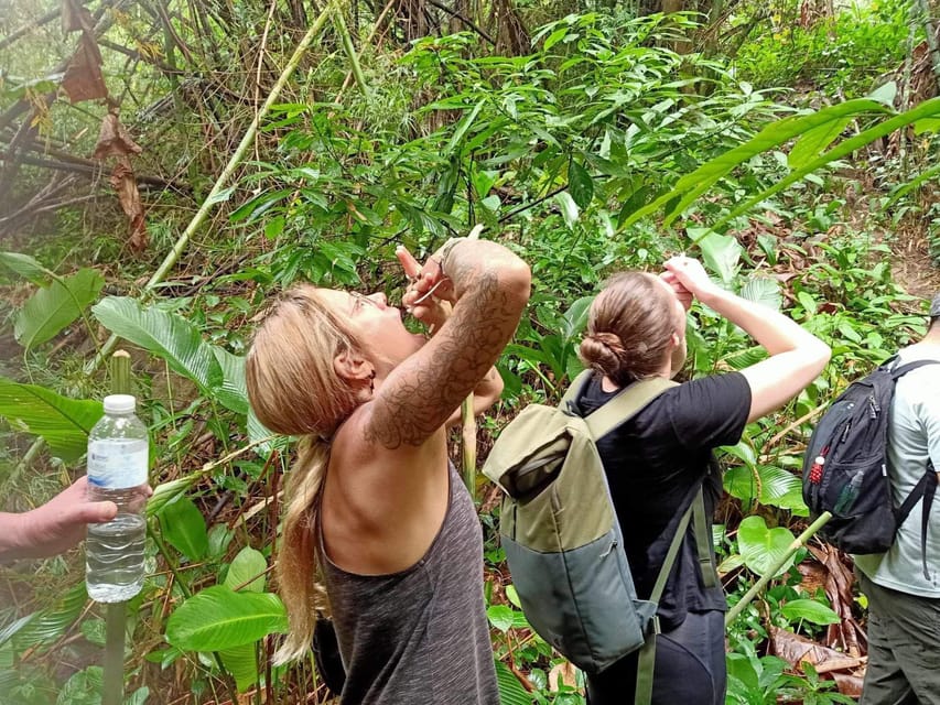 1 Day trekking : Chiang Rai popular activity,Fun in Nature. - Fitness Level and Safety: A Trek You Should Take Seriously