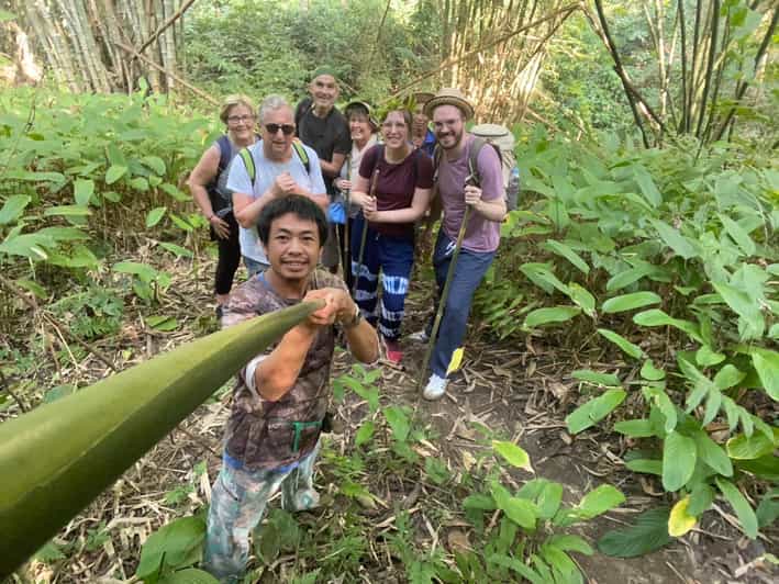1 Day trekking : Chiang Rai popular activity,Fun in Nature. - Price and Value: Why This One-Day Trek Costs $59