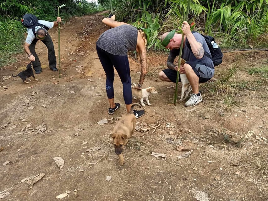 1 Day trekking : Chiang Rai popular activity,Fun in Nature. - What to Bring (And What Will Save You at Huay Kaew)