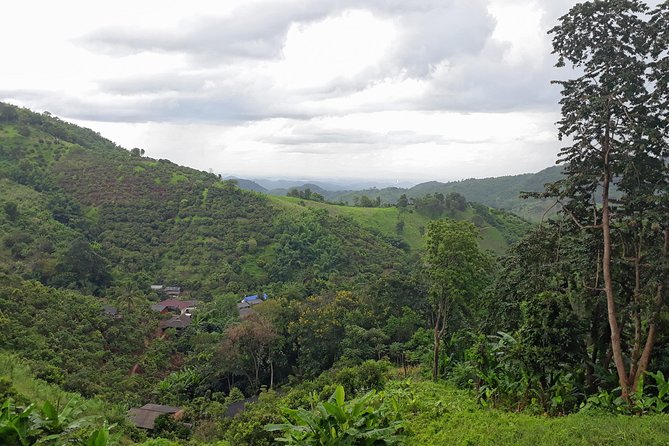 1 Day Trekking Group Tour With Bamboo Cooking / Chiang Rai - Pickup, Timing, and Group Size (Small-Group = Less Stress)