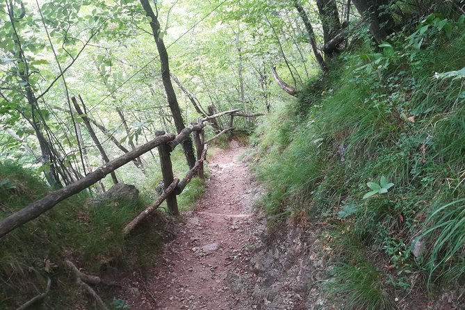 1 Day Trekking - Il Sentiero del Viandante: BELLANO. VARENNA - Pace and group size: why up to 10 travelers feels right