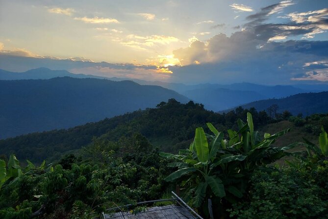 1 Day Trekking in Chiang Mai - Key Points That Matter Before You Go