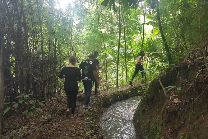 1 Day Trekking in Chiang Mai - A One-Day Trek in Chiang Mai Province That Feels Like a Side Trip