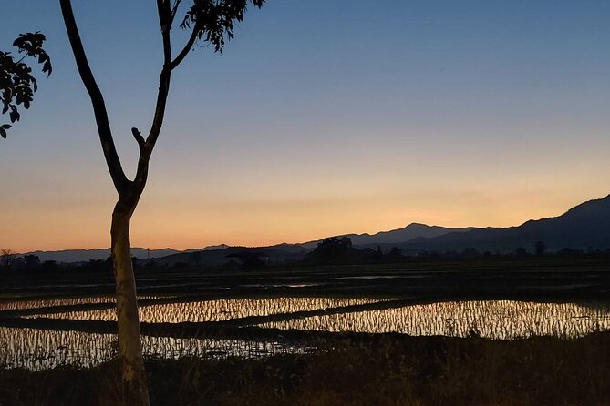 1 Day Trekking in Chiang Mai - Price and Value: Is $94.01 Worth a Full Day Outdoors?