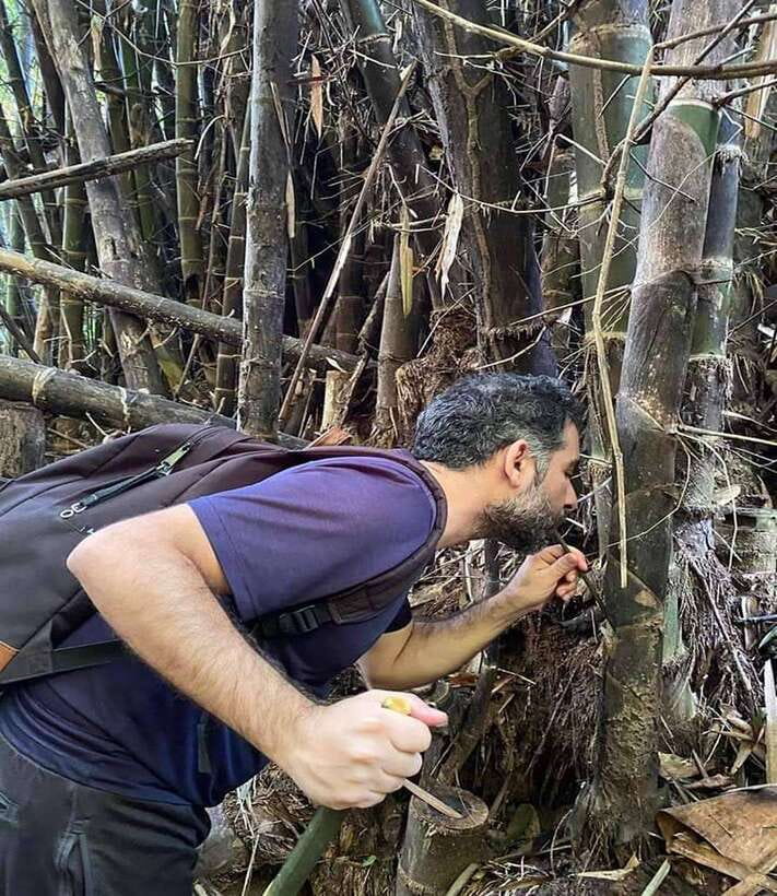 1 Day Trekking in Chiang Rai forest (walk only) - Who Should Book This Trek (and Who Should Skip It)