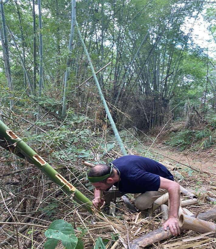 1 Day Trekking in Chiang Rai forest (walk only) - Bamboo Lunch: You Don’t Just Eat, You Build the Meal