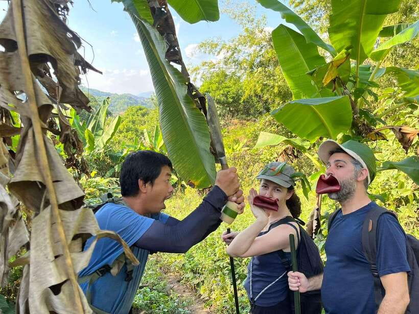 1 Day Trekking in Chiang Rai forest (walk only) - Getting From Mueang Chiang Rai District to the Start by Jeep