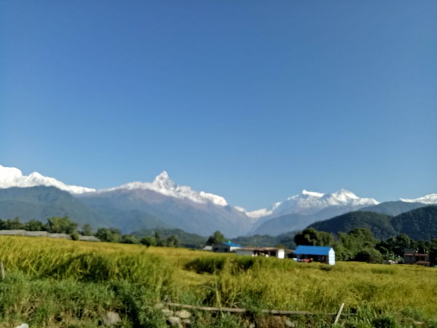 1 N 2 Days easy Dhampus,Australian camp trek from Pokhara - Guides, pace, and safety: where the private trip pays off