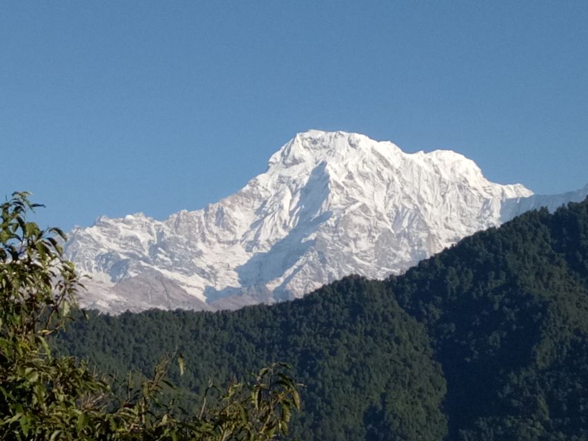 1 N 2 Days easy Dhampus,Australian camp trek from Pokhara - Who should book this trek, and who should skip it