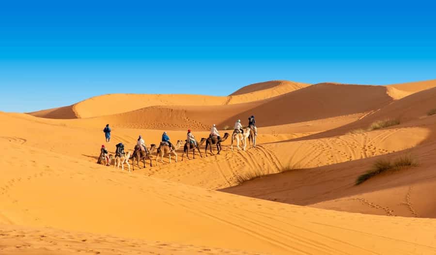 1 night Camel Trek in Merzouga Desert - Key highlights worth your attention