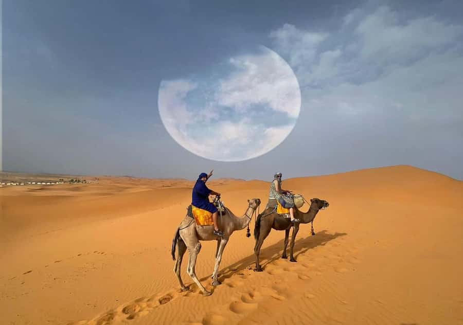 1 night Camel Trek in Merzouga Desert - Should you book this 1-night camel trek in Merzouga?