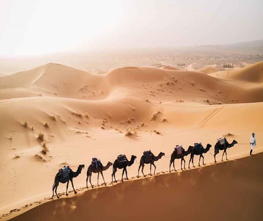 1 night Camel Trek in Merzouga Desert - Sahara night logic: what this trip is actually like