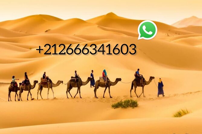 1 night Camel trek in Merzouga Desert Luxury Camp NO EXTRA - Merzouga Erg Chebbi at 4:00 pm: why the timing works