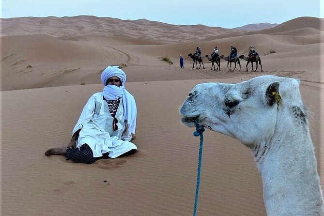 1 night Camel trek in Merzouga Desert Luxury Camp NO EXTRA - Dinner and breakfast: what’s included and what to plan for