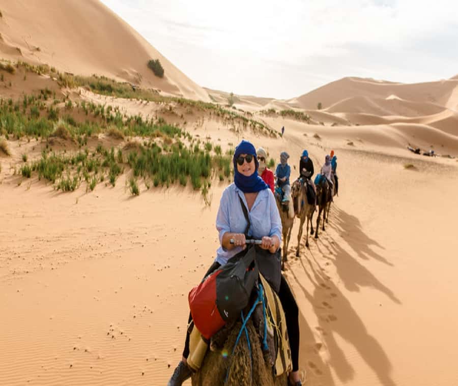 1 night Camel Trek in Merzouga Desert - From Lac Du Sahara to Erg Chebbi: how the day unfolds