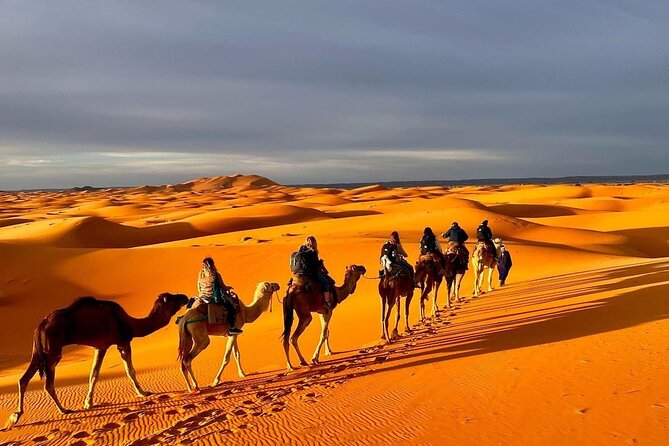1 Night Camel Trekking in Merzouga - Welcome at camp: mint tea, tagine dinner, and Berber music