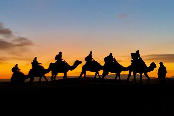 1 Night Camel Trekking in Merzouga - Price and value: what you get for about $58 per person