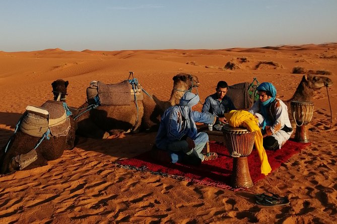 1 Night Camel Trekking Tour in Merzouga Desert Camp - Dades Gorges and Oasis Fint: what you might see en route