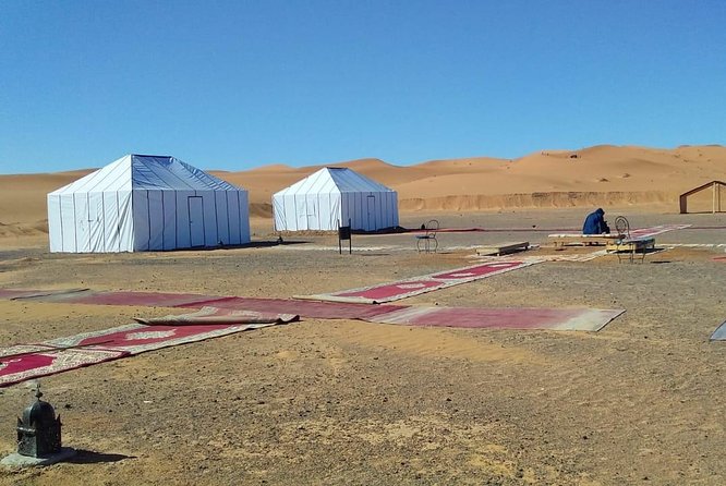 1 Night Camel Trekking Tour in Merzouga Desert Camp - Morning routine: sunrise ride back and your shower in Merzouga