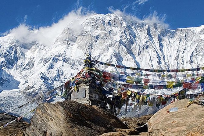 10 days Annapurna Base Camp Trek - Day 7: Down Through Rhododendron to Chhomrong River, Then Jhinu Danda