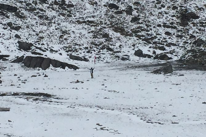 10 Days Annapurna Base Camp Trek From Pokhara - Days 1–2: Ulleri to Ghorepani Through Villages and Rhododendron