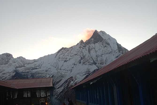 10 Days Annapurna Base Camp Trekking - Back to Pokhara: riverside walking, Nayapul, and last dinner energy