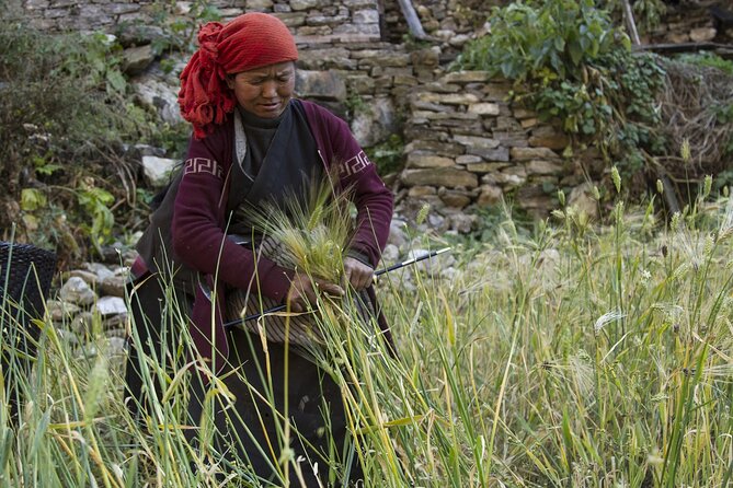 10 Days Manaslu Circuit Trek in Larke La Pass - Who this trek suits best (and who should think twice)